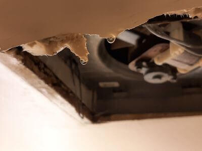 Professional water damage restoration services in Eau Claire - RevitalizeX